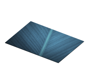 Moderne placemats Groot blauwgrijs blad