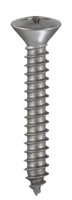 Connex Plaatschroef Bvk 5.5X38 8St Rvs-A4 - DY4835538