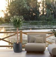 Kunstlavendel bol op stam 120cm UV Wit