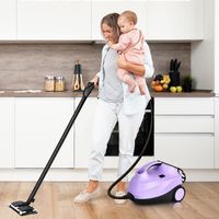 Stoomreiniger met 19 Accessoires Vloer Stoomreiniger / 2000 W / 4 Bar / 1,5 L Tank / tot 108 °C / LED / Stoomtijd tot 45 Minuten (Paars)