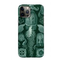 Haeckel Cubomedusae: Volledig geprint iPhone 12 Hoesje