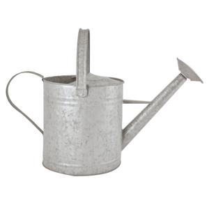 Esschert Design Gieter/plantengieter - zink - 3.5 liter - klassiek/decoratief - 42 x 17.5 x 24 cm - Gieters