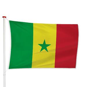 Senegalese Vlag