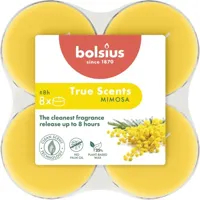 Bolsius geurtheelicht maxi true scents mimosa 8 stuks