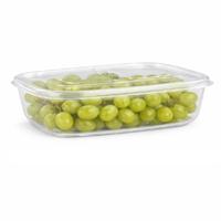 Vershoudbakje voor vriezer en magnetron - 800 ml - kunststof