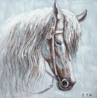 Schilderij - Handgeschilderd - Paard 80x80cm