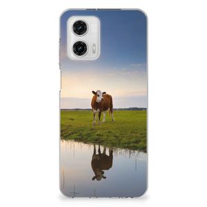 Motorola Moto G73 TPU Hoesje Koe