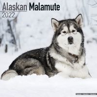 Kalender 2026 Alaska Malamute