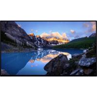 Dell U2424HWOS LED-monitor Energielabel F (A - G) 60.5 cm (23.8 inch) 1920 x 1080 Pixel 16:9 8 ms DisplayPort IPS LED