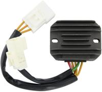 RMS spanningsregelaar voltage regulator 2 plugs