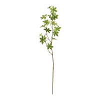 Enkianthus tak 85cm - groen Enkianthus tak 85cm - groen