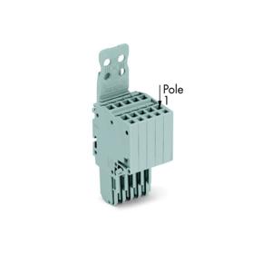 WAGO 2020-205/143-000 Connector, female Grijs 50 stuk(s)