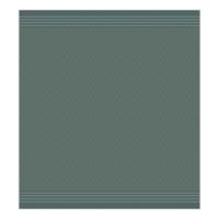 DDDDD theedoek akira 60x65cm green