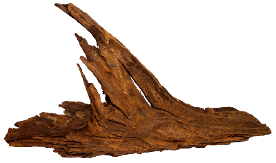 Driftwood Ss aquaria - Superfish