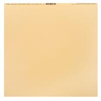 Bazzill • speckle cardstock 30,5x30,5cm travertine