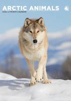 Arctic Animals A3 Kalender 2026