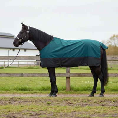 VidaXL Paardendeken donkergroen en zwart 75 cm polyester