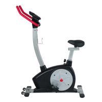 BIKE 1300