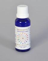 Vita Transcriptie 7 mitochondrium orgaan 30 Milliliter