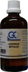 GO Carpinus betulus (100 ml)