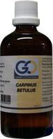 GO Carpinus betulus (100 ml)