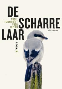 De scharrelaar (Paperback)