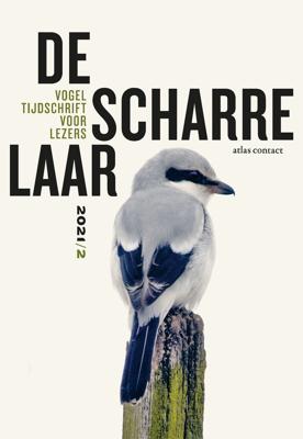 De scharrelaar (Paperback)