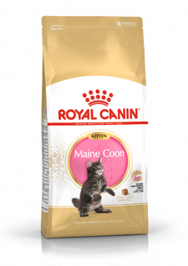 Royal Canin Maine Coon voer voor kitten 400gr