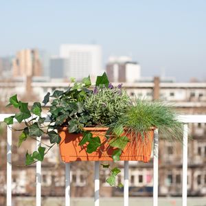 Balkon Plantenbox Terracotta - Mix van Buitenplanten