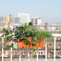 Balkon Plantenbox Terracotta - Mix van Buitenplanten