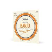 D'Addario EJ63 snaar voor muziekinstrumenten 4 stuk(s) Staal Banjo