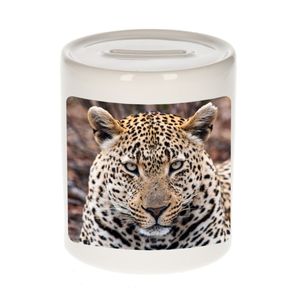 Dieren foto spaarpot jaguar 9 cm - jaguars spaarpotten jongens en meisjes