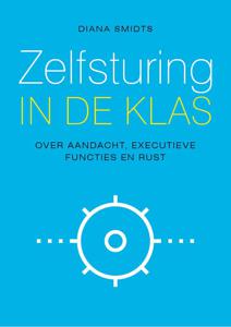 Zelfsturing in de klas (Paperback)