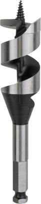 Bosch Accessoires Houtslangenboor, zeskant 32 x 100 x 160 mm, d 11,1 mm 1st - 2608585712