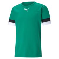 PUMA teamRISE Voetbalshirt Groen Zwart Wit