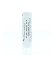 Calcarea carbonica ostrearum 30CH
