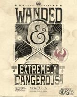Poster Fantastic Beasts - Extremely Dangerous 40x50cm