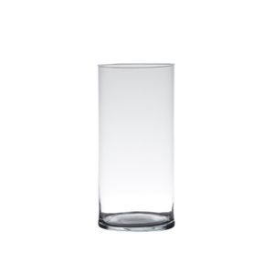 Transparante home-basics cilinder vaas/vazen van glas 25 x 12 cm
