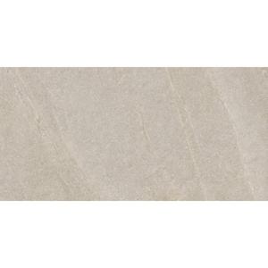 Serenissima Eclettica 1081675 Vloertegel 600X1200 Argento 9,5mm Mat Ret.R10
