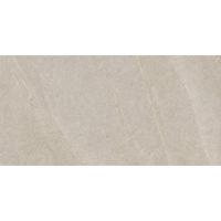 Serenissima Eclettica 1081675 Vloertegel 600X1200 Argento 9,5mm Mat Ret.R10