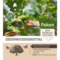 Eikenprocessiemotval Insectenval