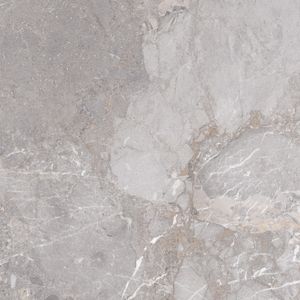 Tegelsample: Jabo Golden Age vloertegel grey 60x60 gerectificeerd