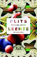 Flitsleemte (Paperback) Flitsleemte (Paperback)