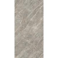 Douglas & Jones Vloertegel 120x280 cm Magnum Glans Gris - Vloertegel 120x280 cm Magnum Glans Gris (prijs Per Tegel)