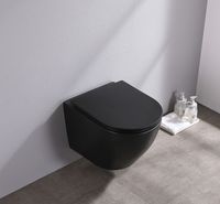 Saniclear Itsie mat zwarte toiletpot randloos met softclose zitting - thumbnail
