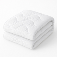 Dekbed Anti Allergisch 4 Seizoenen - 4 Seizoenen & Zomer & Winter & Perfect Voor Koude Nachten - 240x220 Cm (Lits-Jumeaux) - Zydante - Dekbed-Discounter.nl