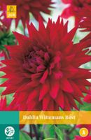 Dahlia Wittemans Best Bloembol JUB 1 bol - Jub