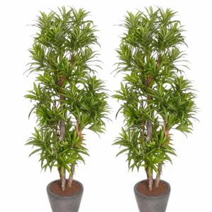 2x Groene Dracaena reflexa kunstplanten 120 cm voor binnen