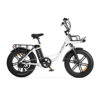 Engwe L20 Fatbike Wit - Elektrische Scooter