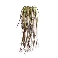 Zeegras kunst hangplant 60cm - burgundy